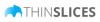 ThinSlices - Logo